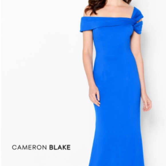 Cameron Blake - 120604 Asymmetrical Seamed Evening Dress (SIZE 12) - Picture 1 of 4